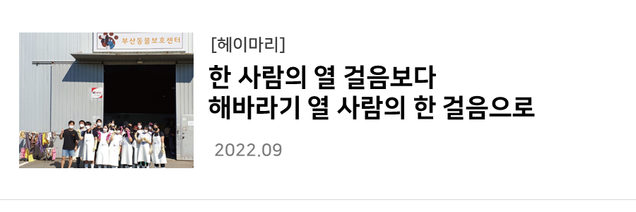 [헤이마리] 한 사람의 열 걸음보다 해바라기 열 사람의 한 걸음으로