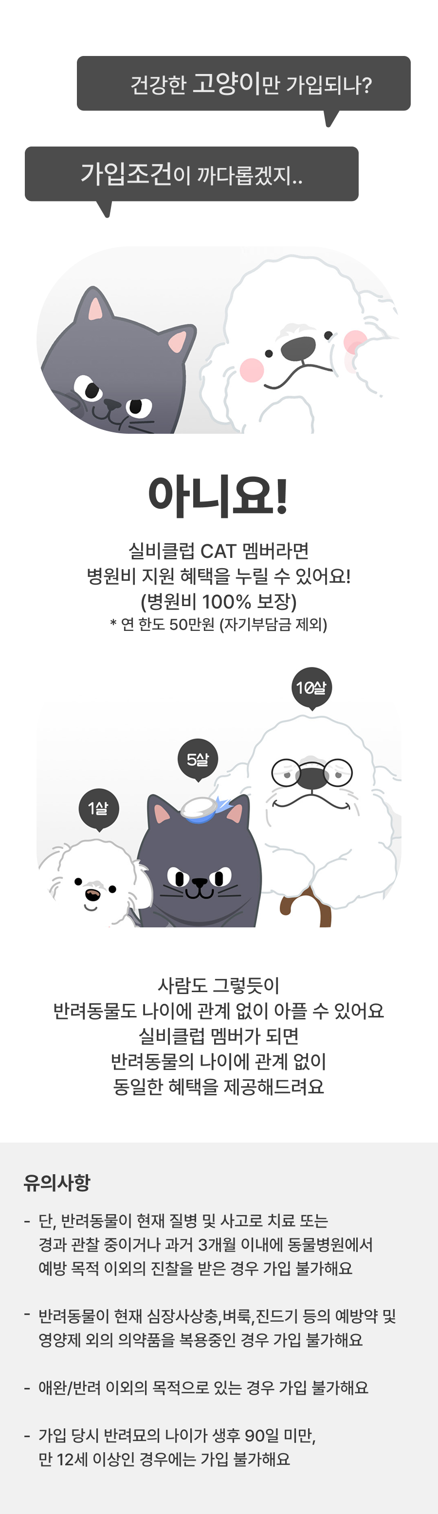 실비클럽캣가입대상안내