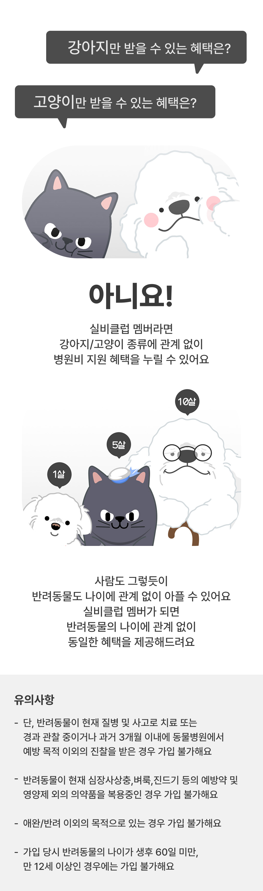 실비클럽레드가입대상안내